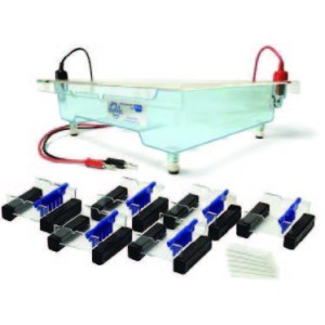 Hexagel dna electrophoresis tank